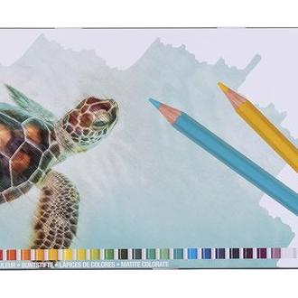 TALENS LAPIZ BRUYNZEEL 45 COLORES CAJA METAL TORTUGA ESTUCHES LAPICES 1x48x18 Cms.