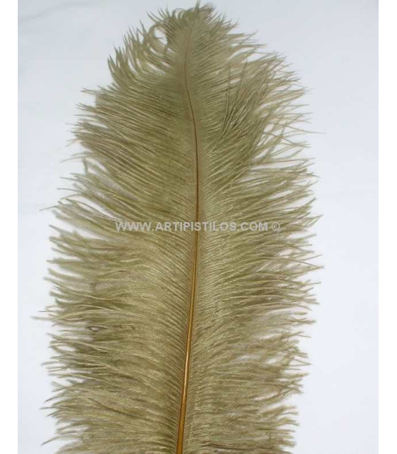 PLUMA DE AVESTRUZ 1ª CALIDAD / 50-55 cm