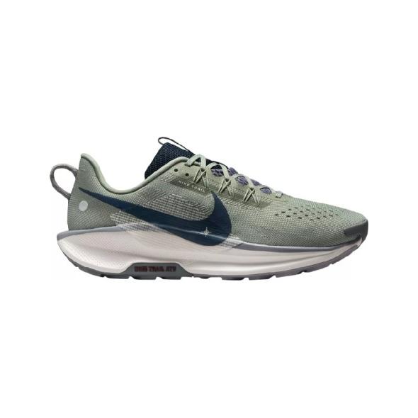 Nike Pegasus Trail DV3864 300