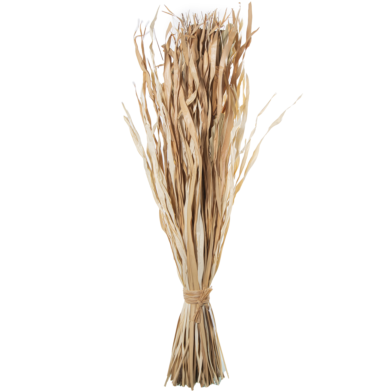 Ramo hojas palma natural 100cm