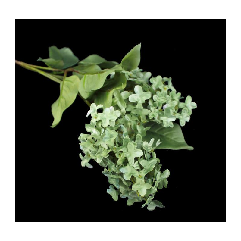 Rama de lilar "SYRINGA