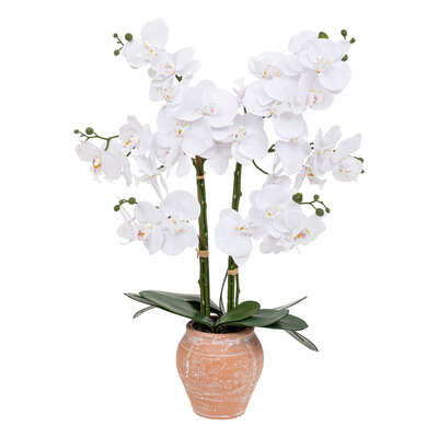 Factory Cuadros - Orquídea Dena con Maceta Terracota - 65 Cm de Alto - Planta Artificial