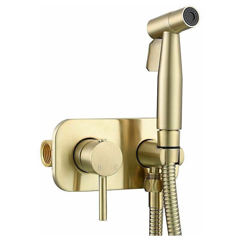 CA Kit de pulverizador para inodoro que incluye un pulverizador de bidé de latón para higiene, montado en la pared con acabado dorado.