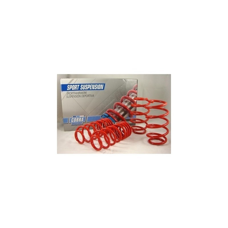 MUELLES DEPORTIVOS COBRA 01.4236