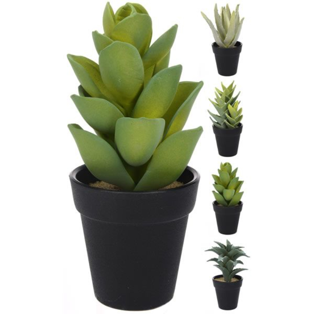 MACETA CACTUS 18 CM SURTIDAS