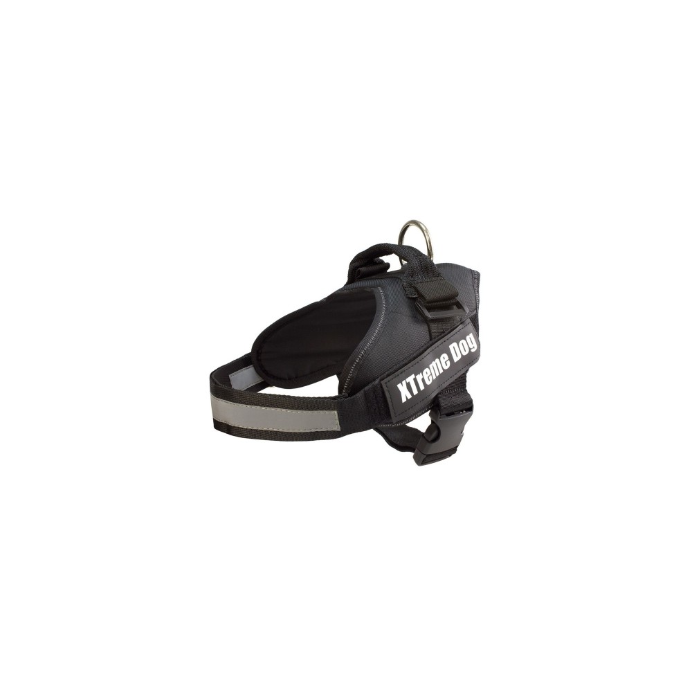 Xtreme - ARNES DOG AZUL S (50-64cm)