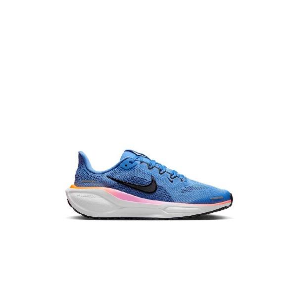 Nike Air Zoom Pegasus 40 FN5041 403