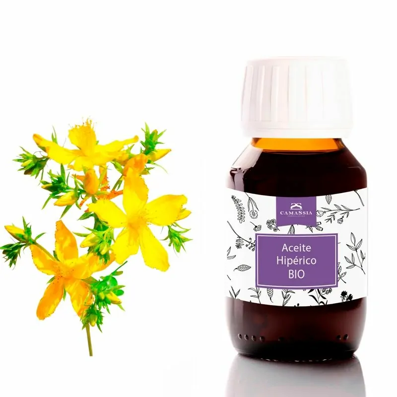 Camassia Aceite de hipérico BIO | Aceites vegetales | Macerado en Aceite de Oliva de agricultura ecológica