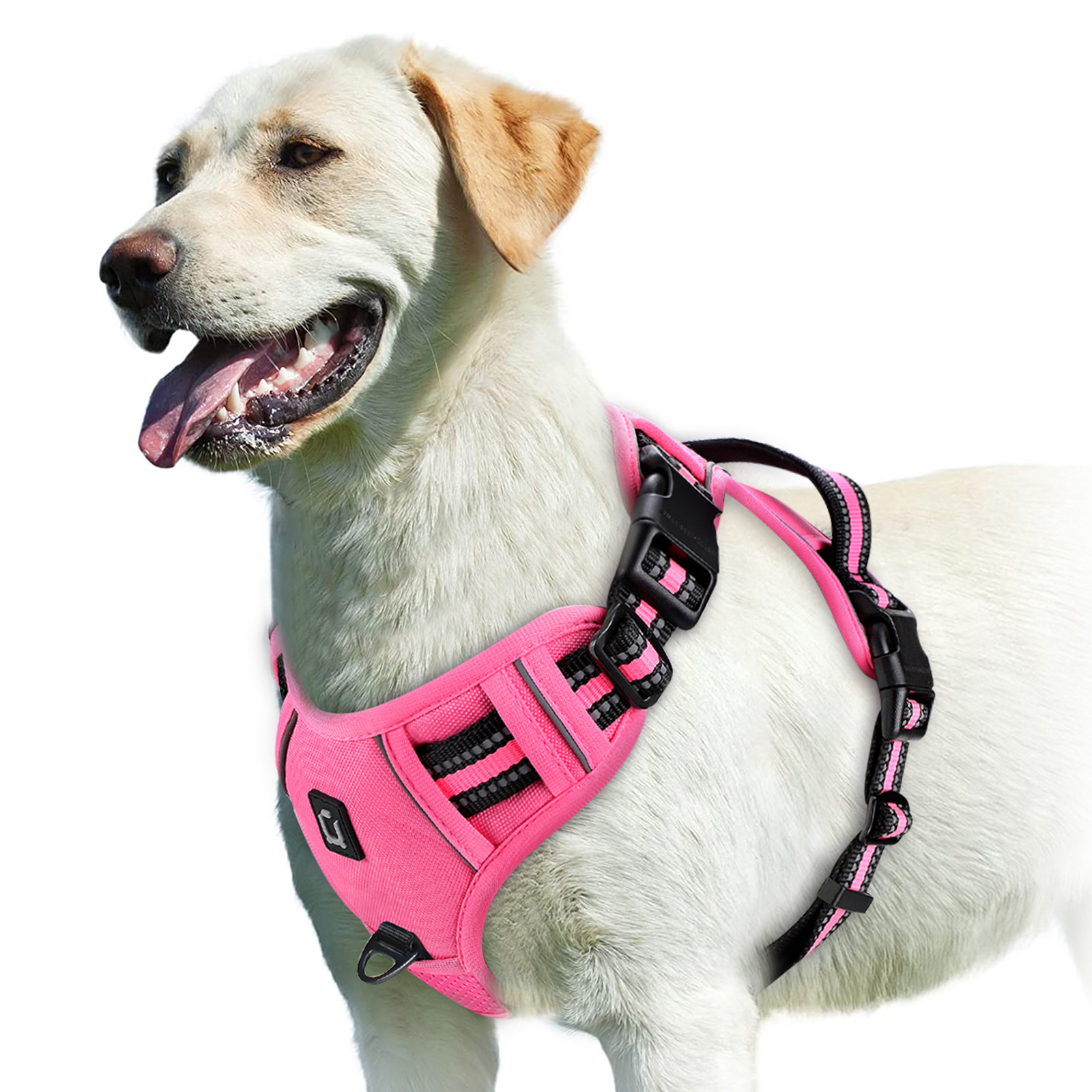 TK Alforja Para Perro Sin Pulling Con Correa De Control Fácil Y Peto Suave Ajustable Vestido De Mascota Para Adultos