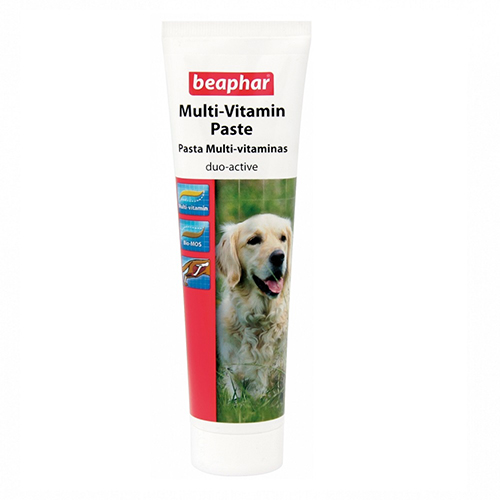 BEAPHAR Pasta Multi-Vitaminas para Perros, 100 gr