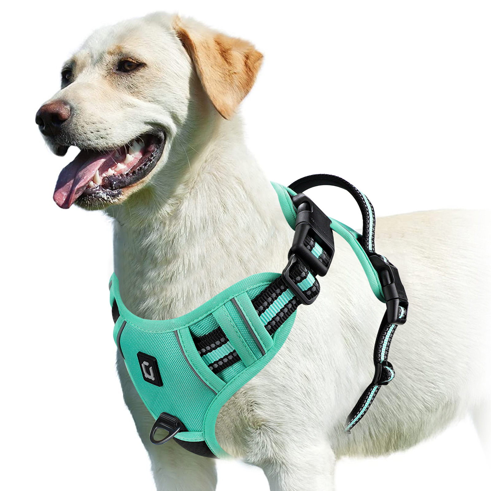 TK Alforja Para Perro Sin Pulling Con Correa De Control Fácil Y Peto Suave Ajustable Vestido De Mascota Para Adultos