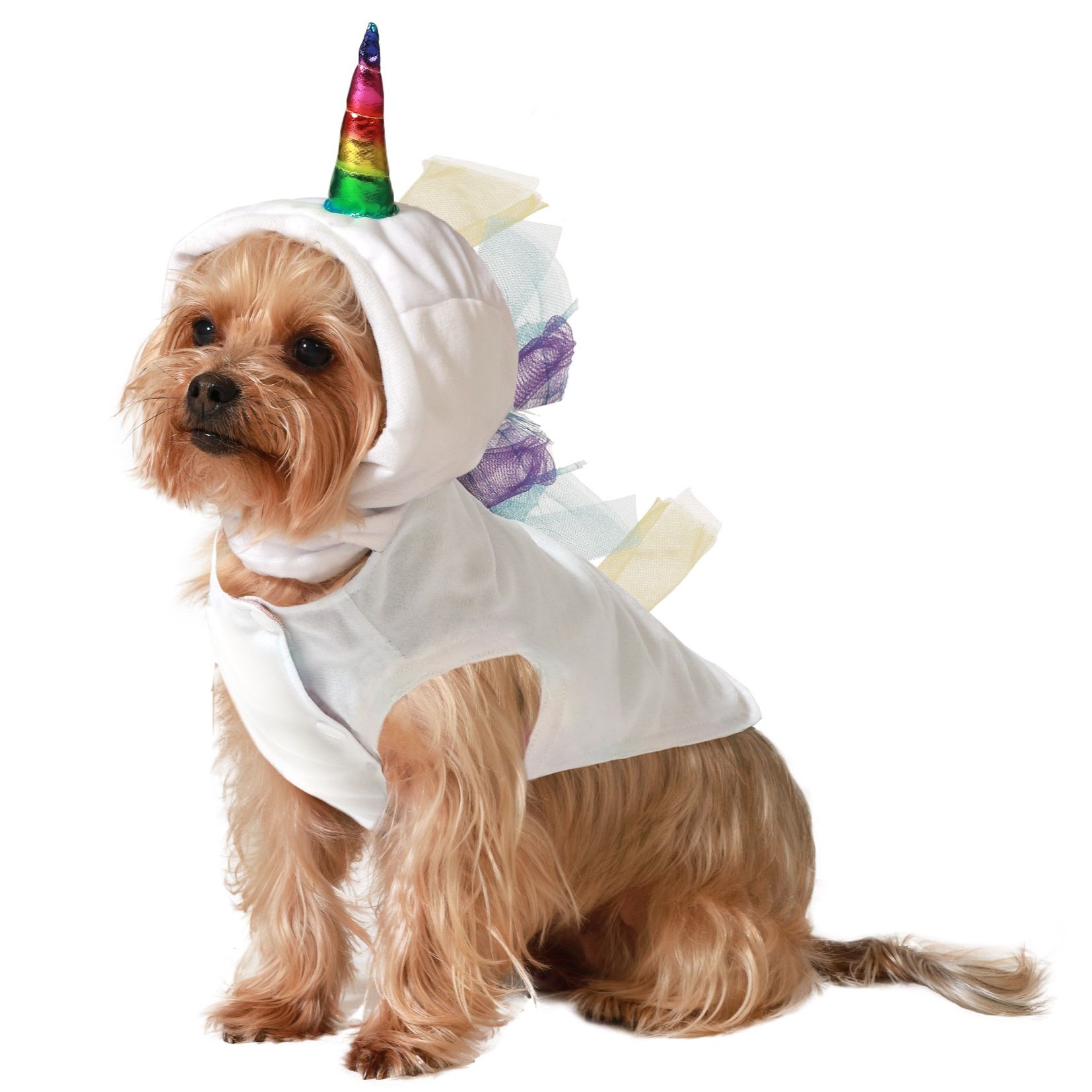 Disfraz para Perro Mascota