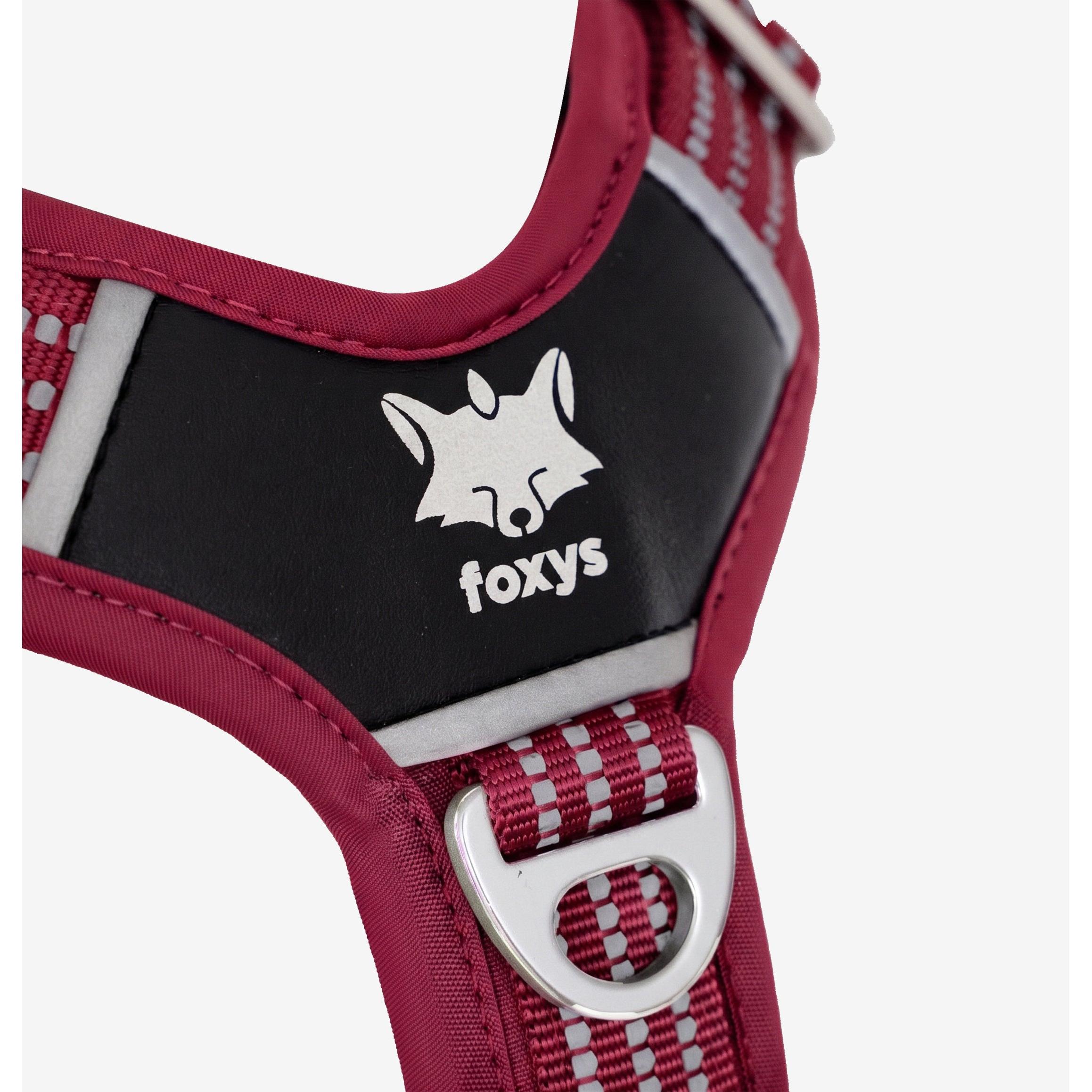 Foxys - Arnés CountryFox PRO para Perro Rojo Burdeos: Acolchado Neopreno, Anilla Antitirones Frontal, Bandas Reflectantes 3M