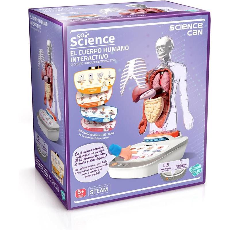 CANAL SCIENCE – Cuerpo Humano Vozpedia Canal Science.