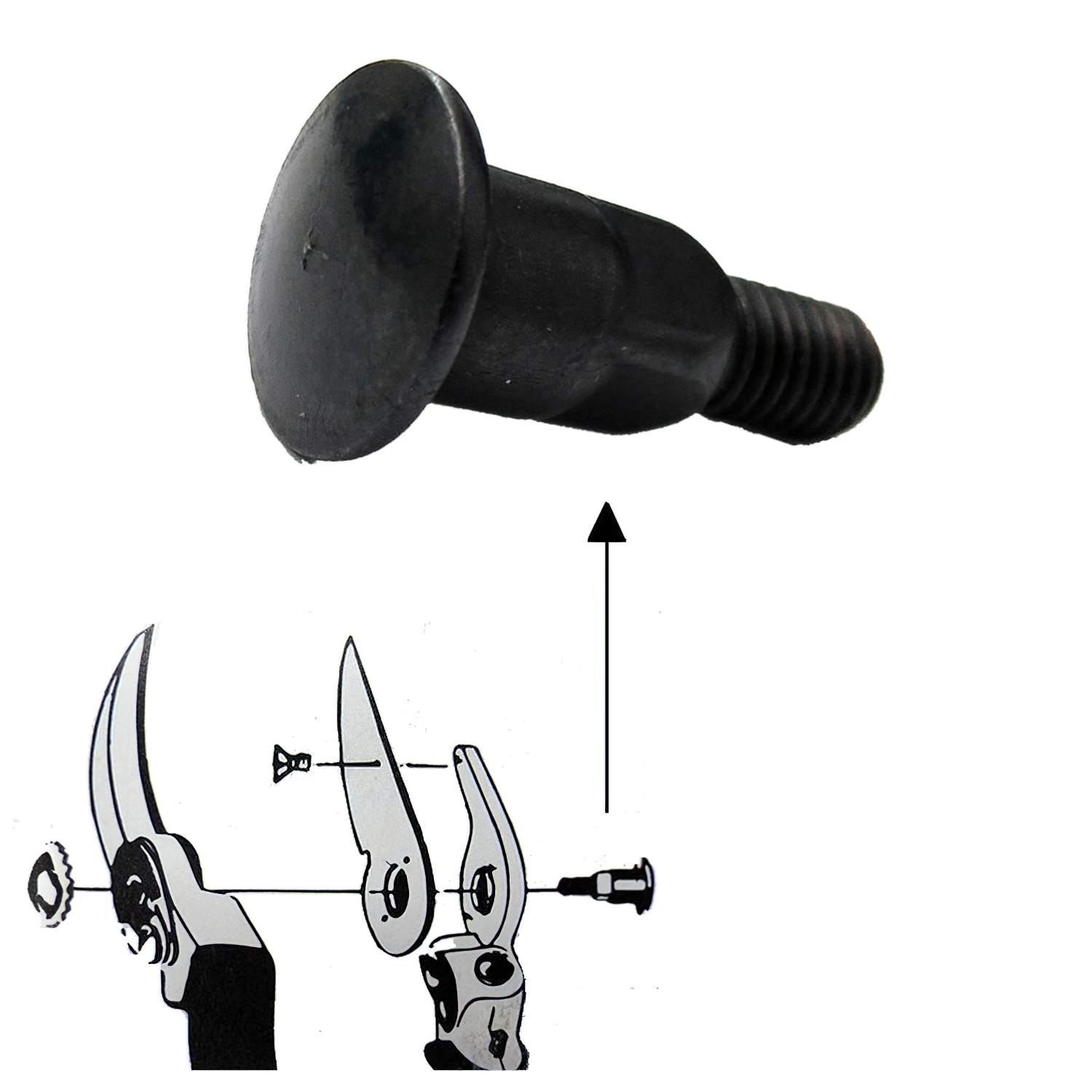 SANCO STORE - SAMURAI Tornillo Recambio Tijera Samurai Central KS-4T