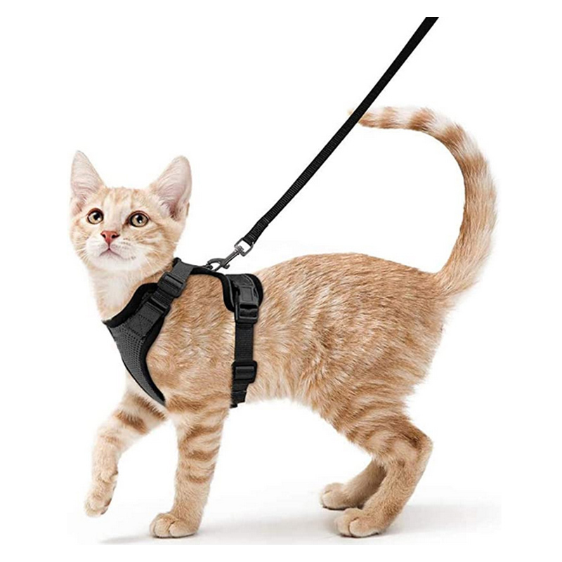 TK Correa Y Arnés Para Gatos Para Pasear Resistente Al Escape Vestido Suave Ajustable Fácil Control Para El Manejo De Los Gatos