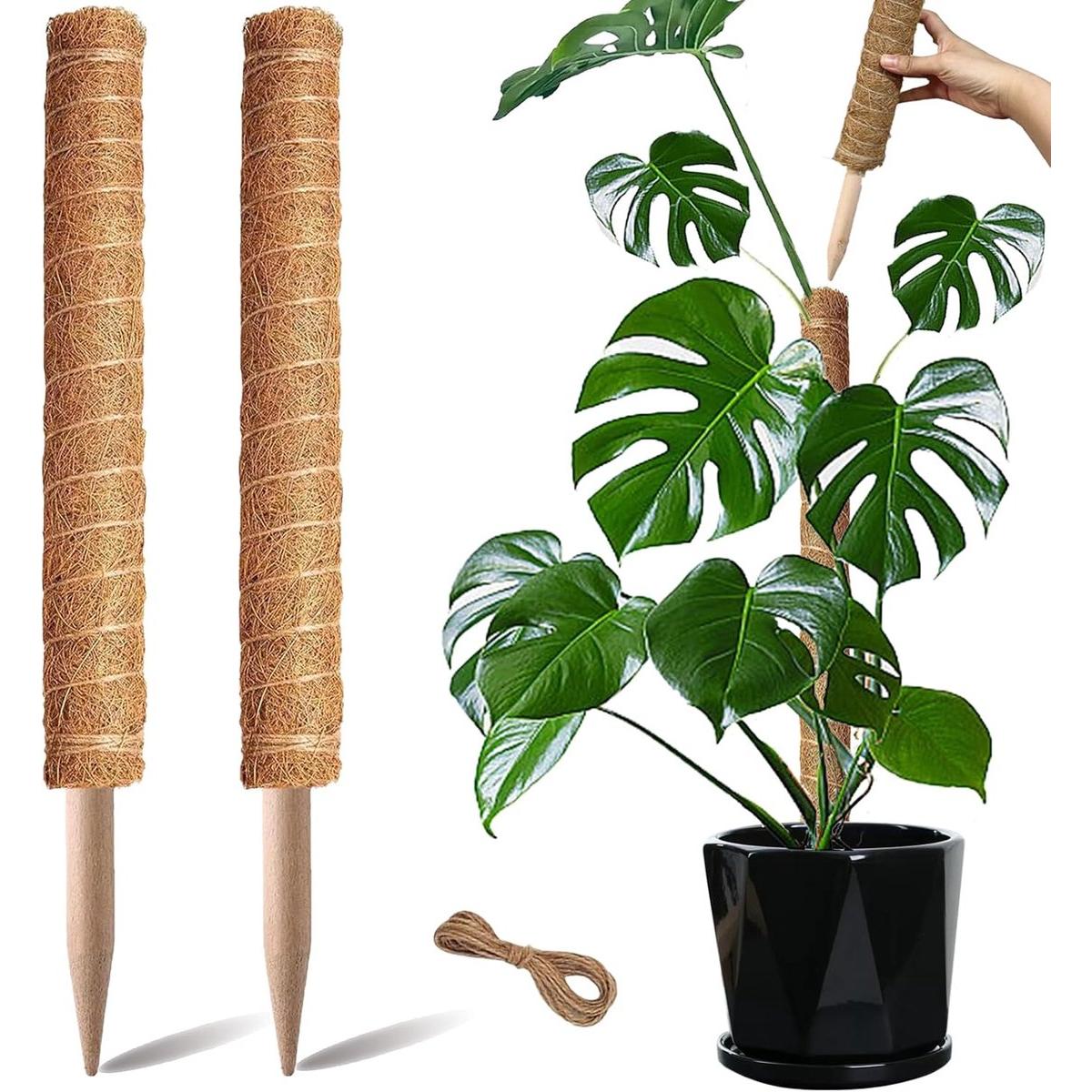 Poste para musgo - Poste para musgo - Enrejado - Tallo trepador para plantas - Soporte para plantas - Para Monstera, Pothos, Árbol del dinero - 2 piezas - 30 cm