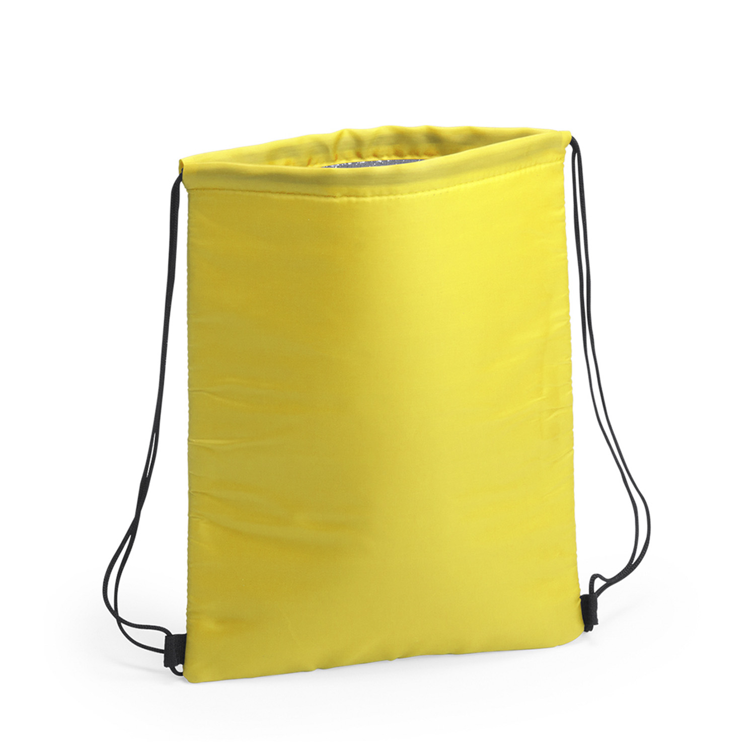 DAM. Mochila nevera Nipex de cuerdas, con interior isotermo acabado en aluminio y esquinas reforzadas. 32x4x42 cm.