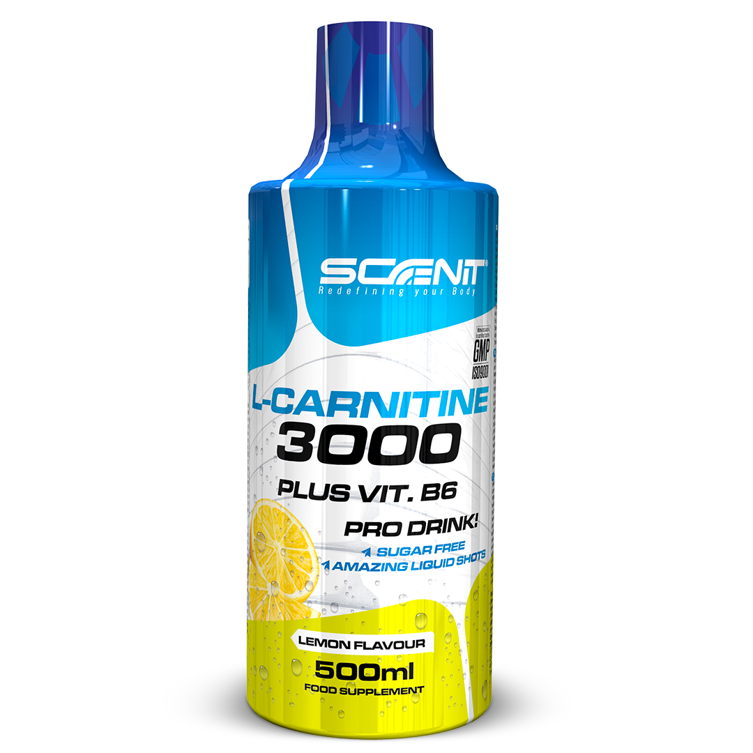 L Carnitina 3000 - L Carnitina Liquida 500 ml - Carnitina Liquida 3000 - Carnitina Liquida - L-Carnitina 3000 - L Carnitina Viales - L Carnitina - l - carnitina (1 bote de 500 ml)