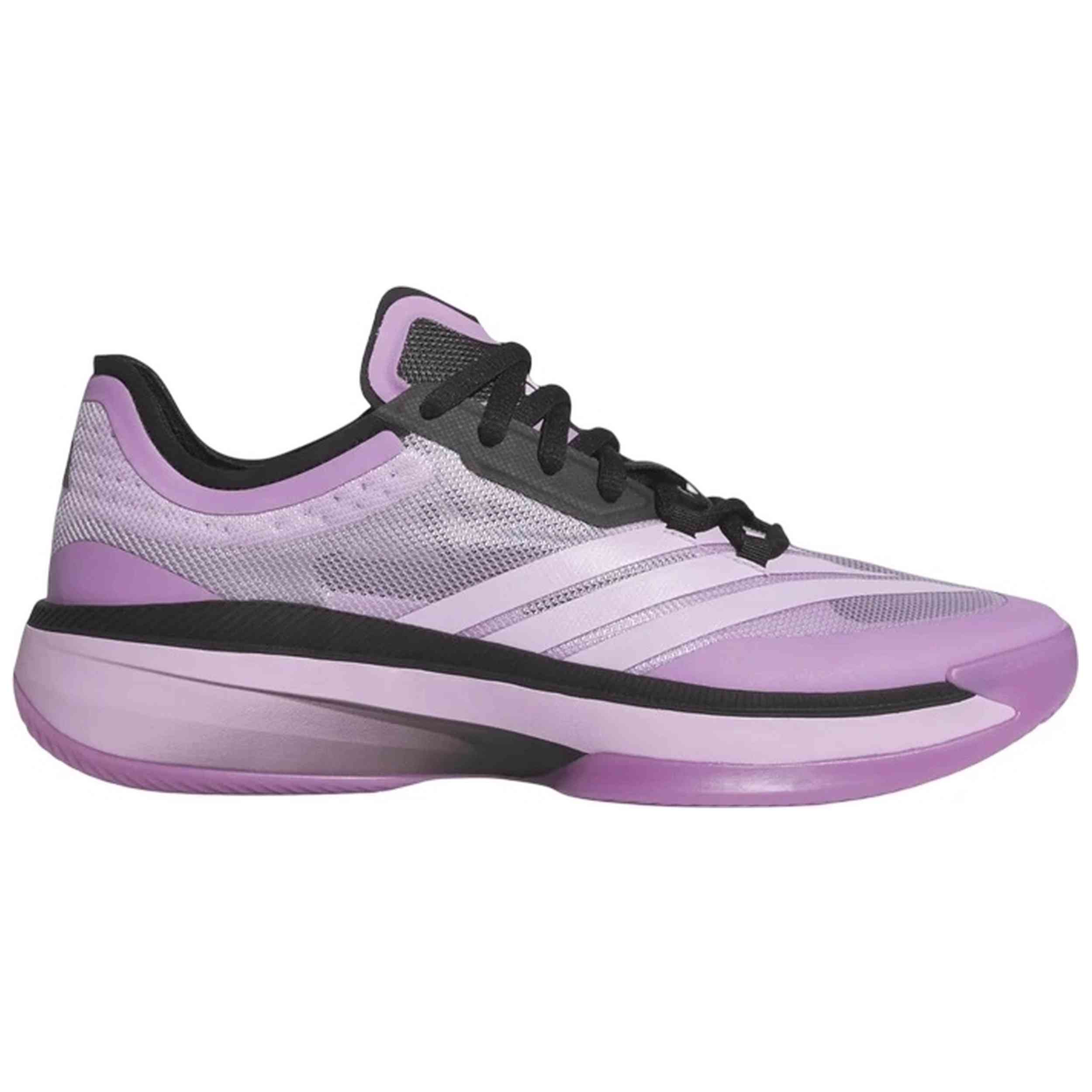 Zapatillas De Baloncesto Adidas modelo Adizero Select 3.0 "PrePur" para Hombre en color Morado