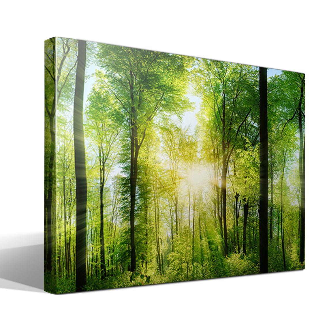 Cuadro Canvas Despertar del Bosque - Alta Resolución - Lienzo 100% Algodón - Bastidor Reforzado - Fabricado en España