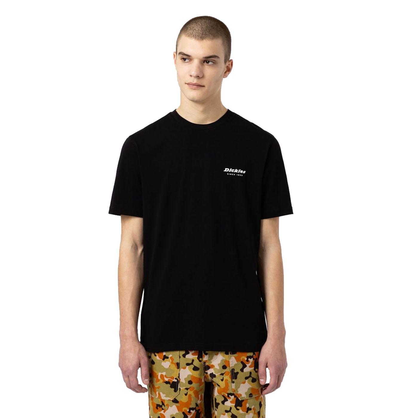 camiseta Hombre Dickies Artondale box Negra