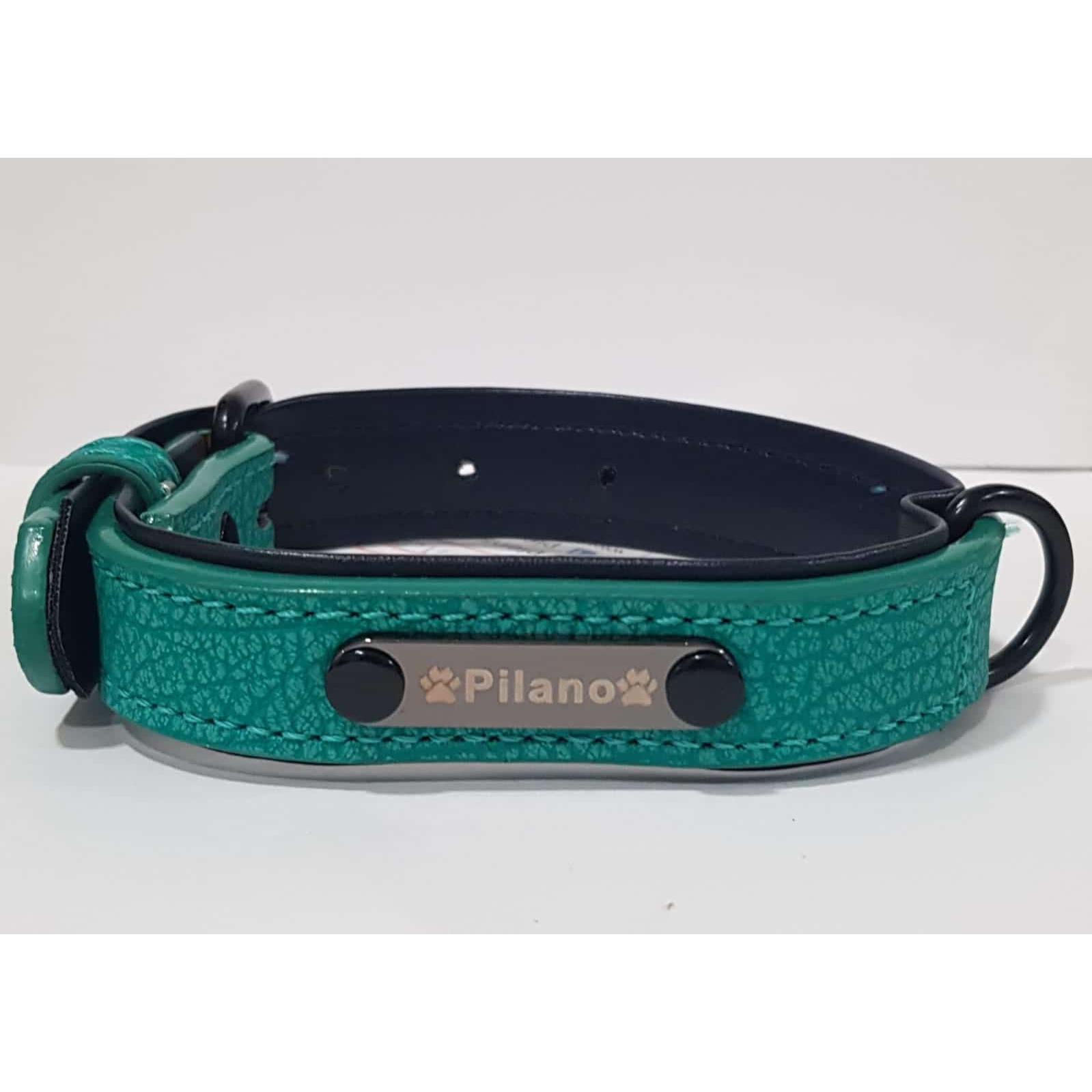 Collar de Cuero Pilano para Perro Talla M - Acolchado Suave y Ajustable - Resistente y Cómodo - Varios Tamaños