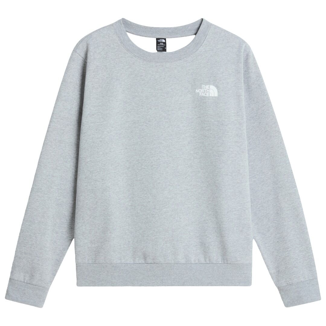 Sudadera Gris The North Face NSE Evolution Pale Grey Heather de Corte Recto