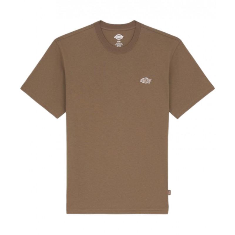 Camiseta Dickies Summerdale Marrón