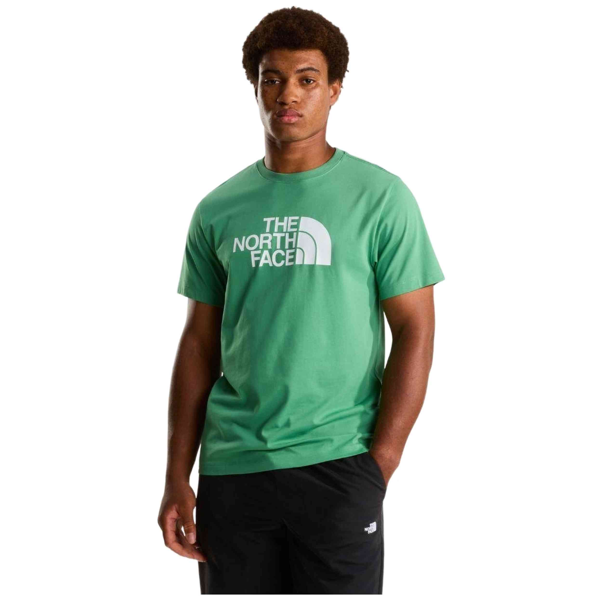 Camiseta De Manga Corta The North Face modelo M EVOLUTION HALF DOME REGULAR SHORT SLEE Dimmed Algae para Hombre en color Verde