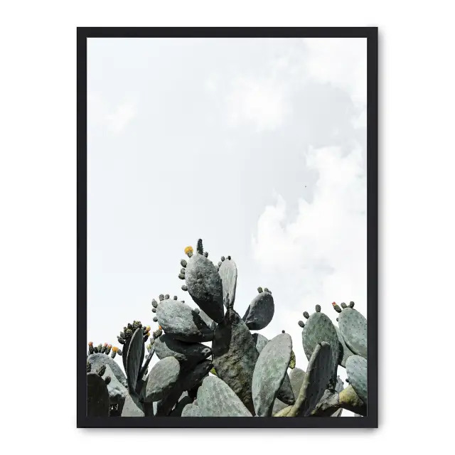 Lámina con marco negro CACTUS 21x30 cm, Póster impreso en papel de primera calidad de 180gr, montado sobre marco de madera MDF acabado en negro., Naturaleza - Desierto