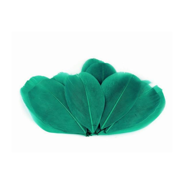 Plumas de ganso 5,5 - 7 cm - Bolsa de 10 unid.
