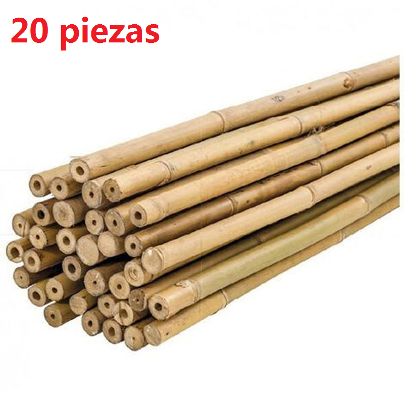 20 - 40 Unids Tutores, Palitas, Cañas de Bambú Para Plantas o Decoracion Jardin Hogar - Maxia Market