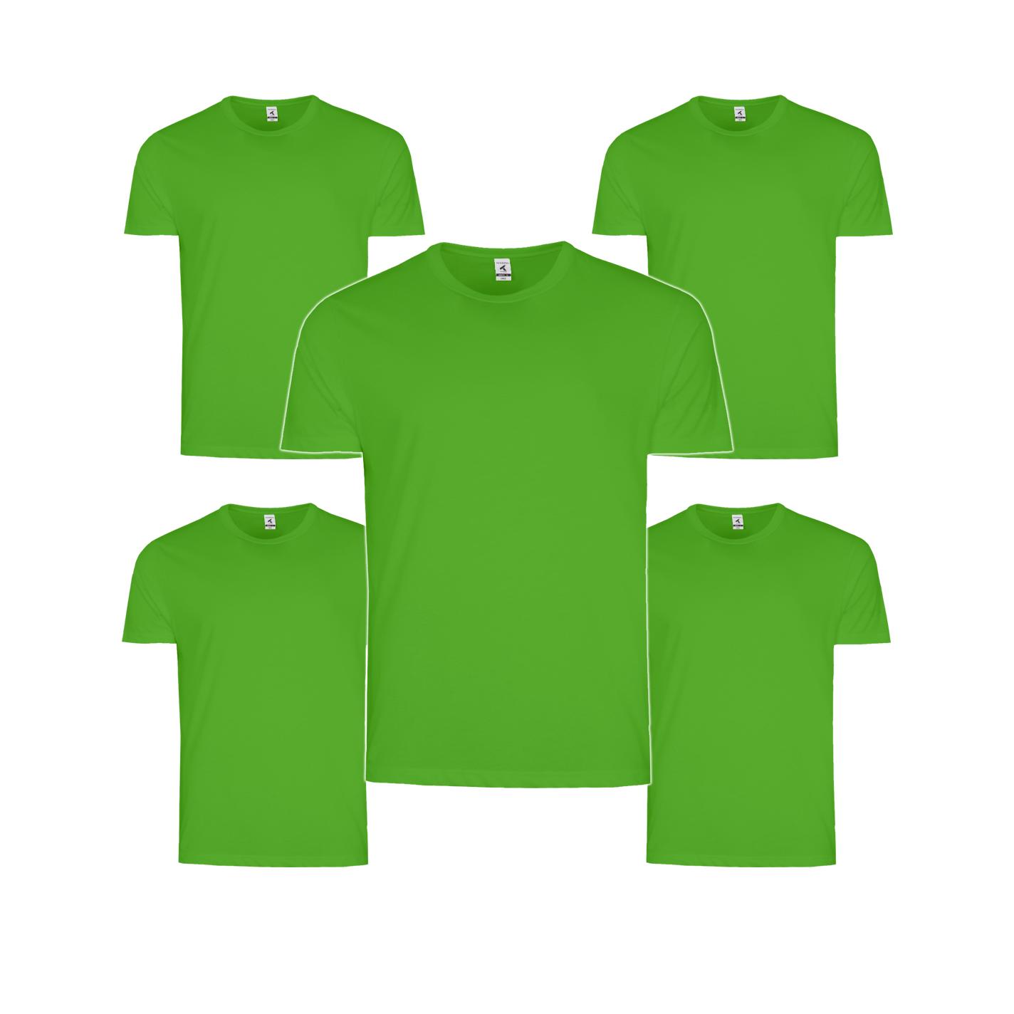 TEXKING Modelo Chile Camisetas Manga Corta 170 g/m2 100 algodón. Pack de 5 Mismo Talla mismo color.