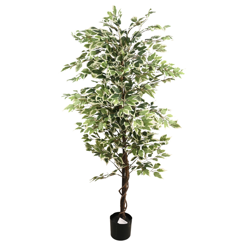 Poenia Arte Floral - Árbol Artificial Ficus en Maceta 180cm - REF 630531 - Decoración Realista