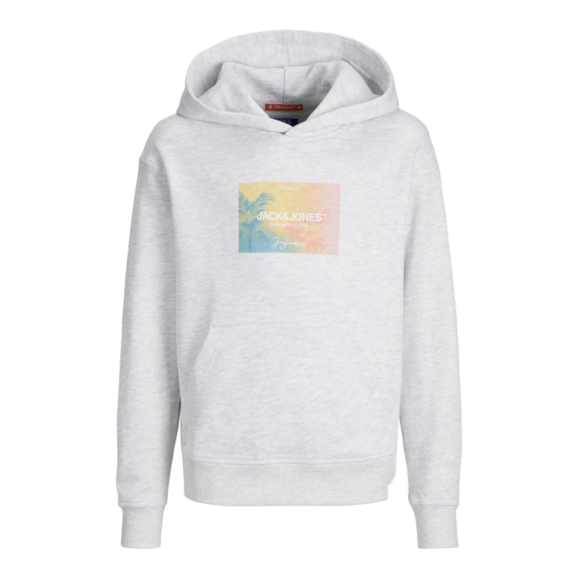 JACK&JONES 12255308 JORARUBA SUNSET BRANDING SWEAT HOOD Hombre Sudadera Jersey Cuello Capucha 29125
