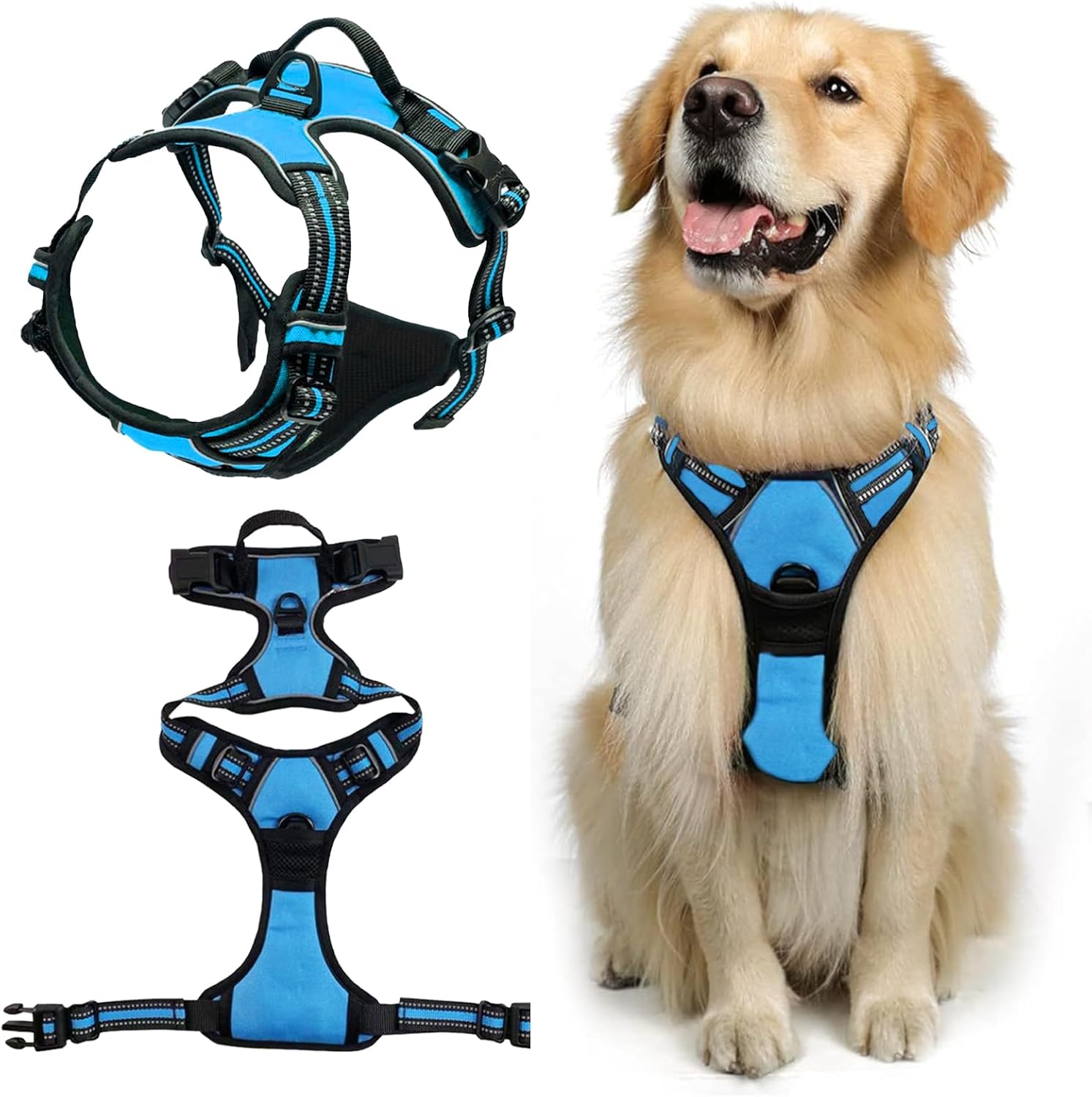 Arnés para Perros, antineumáticos, de pecho, median, Con Chaleco ajustable y transpirable con cinturón reflectante (Azul M)