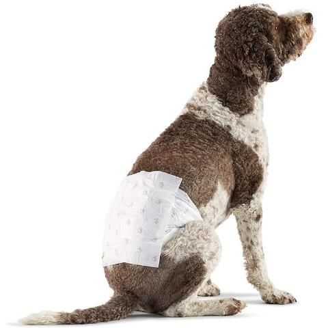 Pañales desechables para perro macho , Talla L y Talla XS (paquete de 50), Blanco