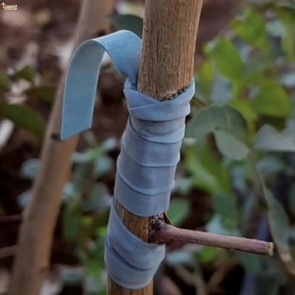 Bricoloco.com Bricoloco Gomas de Injertar Elásticas para árboles y Plantas - Pack de 100