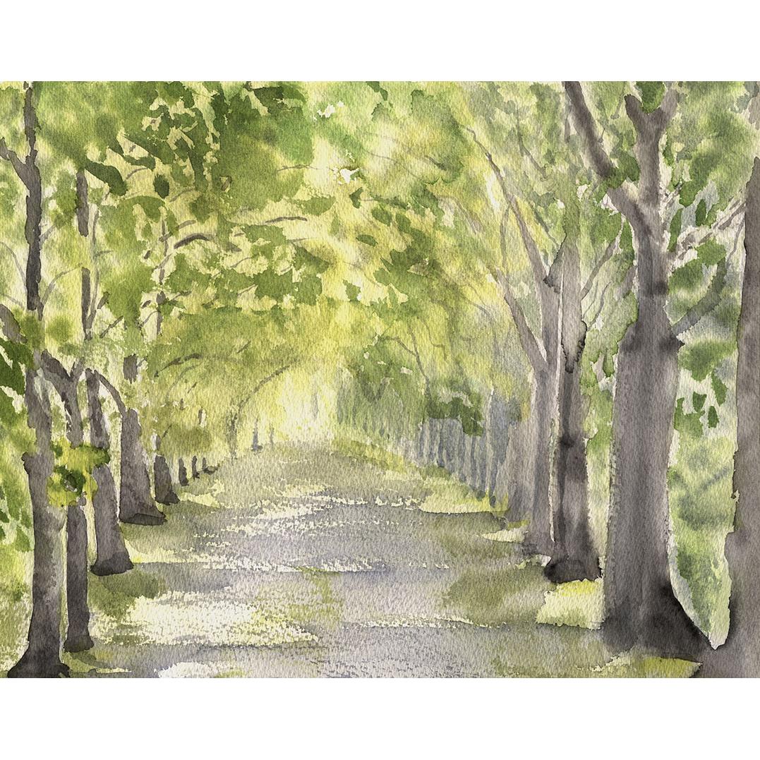 Cuadro decoración pared LIENZO SIN ENMARCAR paisaje horizontal grande "CAMINO DE VERANO" Acuarela Lienzo Alta Calidad Arboles Bosque Luz Naturaleza Arte Contemporáneo Verde Sepia Grises dorado Neutro rojizo Salón Pasillo Comedor Ref ANA DURAN A 086 A
