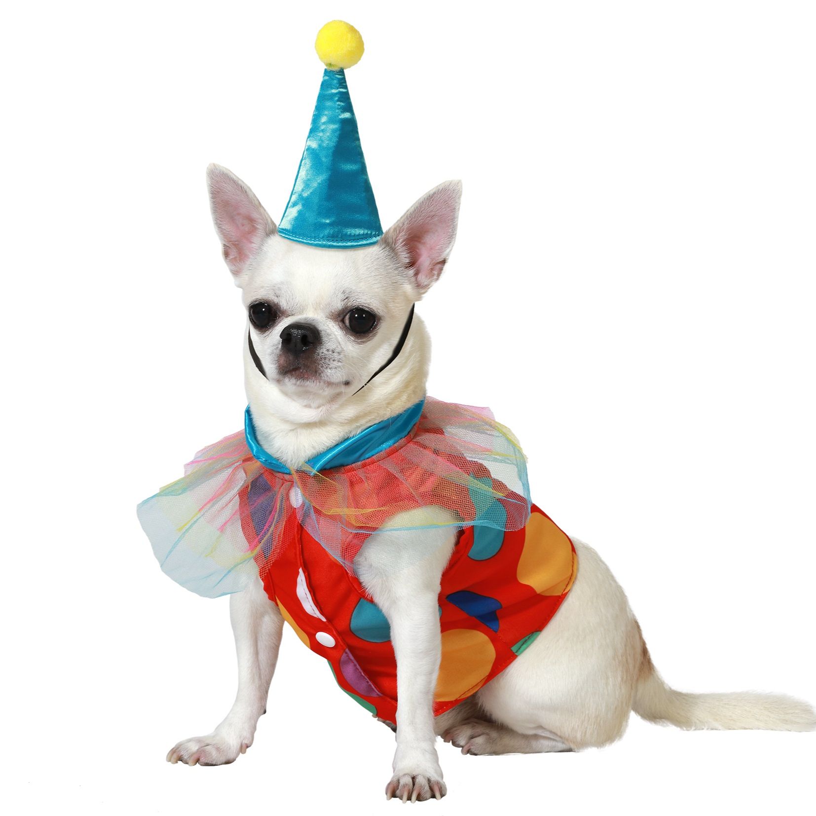 Disfraz para Perro Mascota