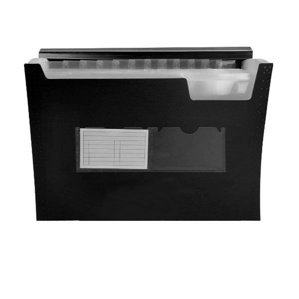 Liderpapel - Carpeta clasificadora FU35 de poliestireno A4 con 12 hojas, color negro, ideal para oficina y estudio