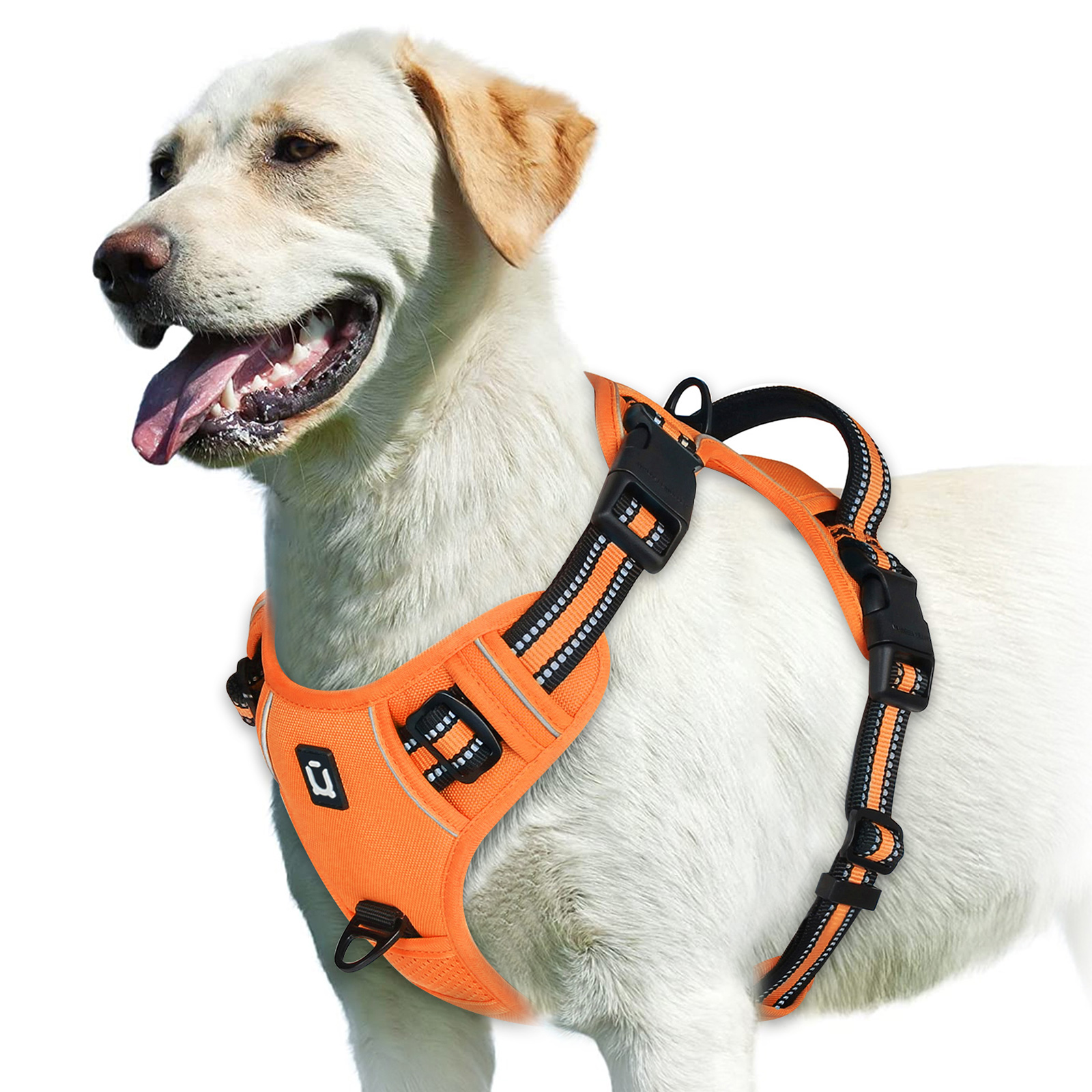 TK Alforja Para Perro Sin Pulling Con Correa De Control Fácil Y Peto Suave Ajustable Vestido De Mascota Para Adultos