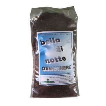 Manitoba - Bela da Noite - 1kg