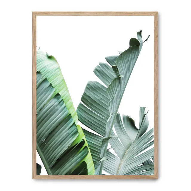 Cuadro banana leaves ii 30x40cm, Póster impreso en papel de primera calidad de 180gr, montado sobre marco de madera MDF acabado roble., Botánica - Palmeras