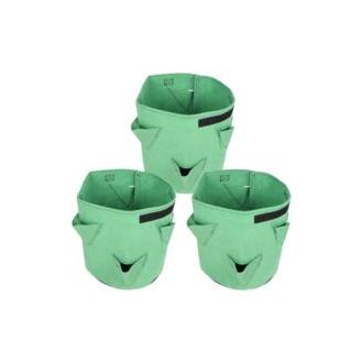 CA Bolsa de cultivo para fresas (3 unidades, 6 agujeros), color verde