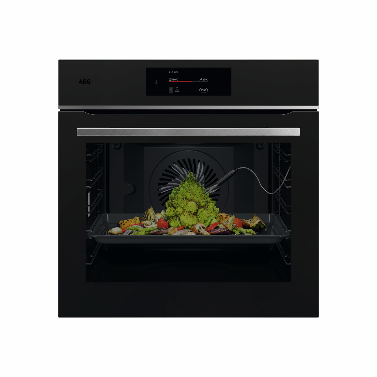 AEG – Horno multifunción AEG con 16 funciones – TE8PB731AT.