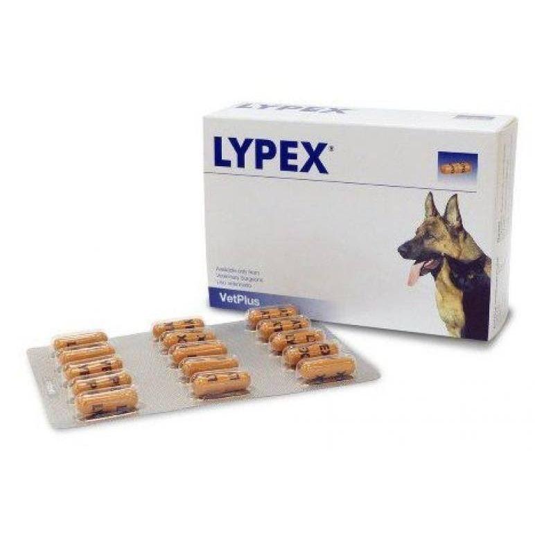 Lypex Blister 60 Cápsulas Lypex es un complemento de enzimas pancreáticas con cubierta gastrorresistente para perros y gatos con deficiencias enzimáticas digestivas.