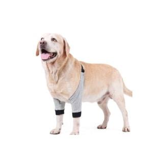 CA Manga de recuperación para cirugía de pata delantera de perro Sollbry - Protector de manga de recuperación para pata delantera de perro - Rodillera para perros medianos