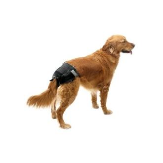Pañales para perros IBAÑEZ Negro Talla 6, 46-56 cm 12 uds